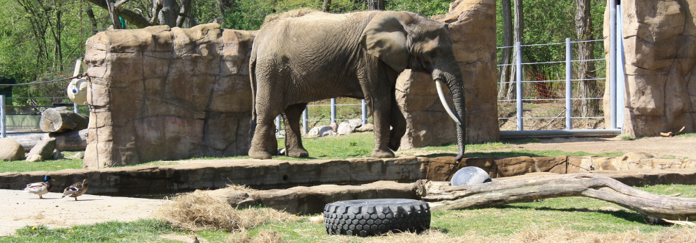 Dallas Zoo