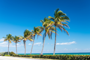 Best Beaches to visit in Florida