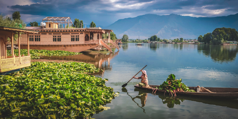 Kashmir