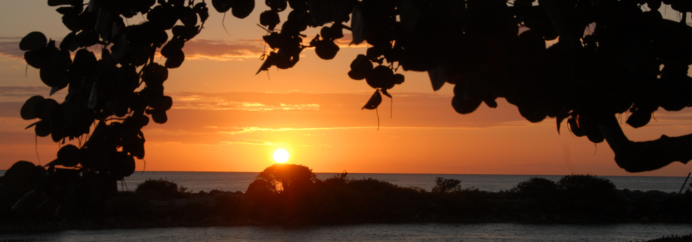 The Florida Keys