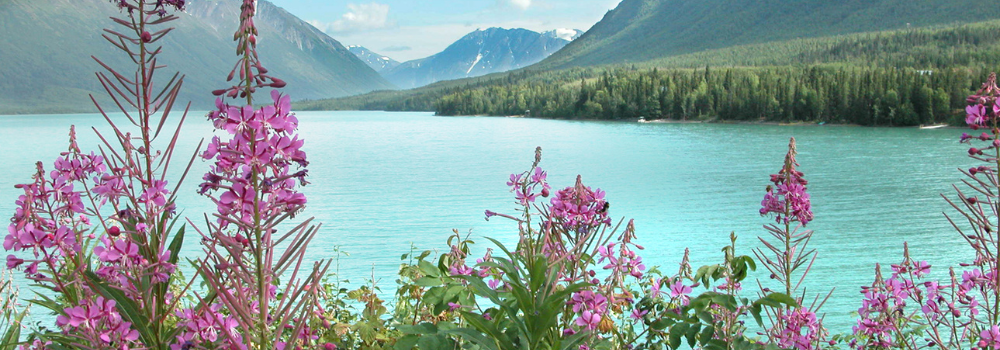 Kenai Fjords