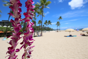 Best Places to Visit in Hawaii for families