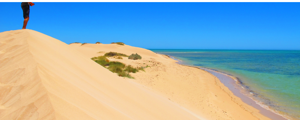 Ningaloo Coast UNESCO sites to visit