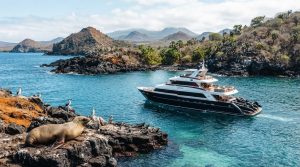 Expedition Cruises Galapagos The 2026 Luxury Buying Guide Hero Image | Superior Cruise Travel Expedition Cruises Galapagos The 2026 Luxury Buying Guide